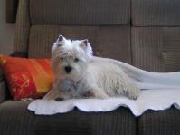 Klik op de foto voor groter formaat